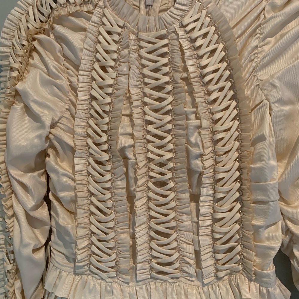 Zimmermann 'Runway' Espionage Ruffle Dress $3950 - Picture 3 of 9